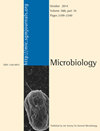 Microbiology-sgm