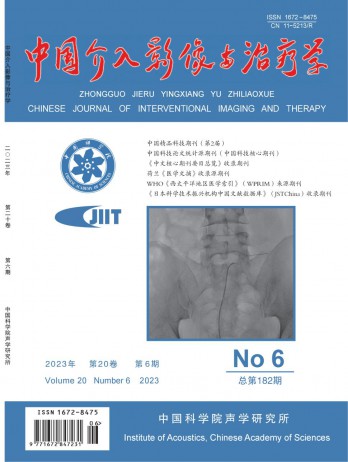 中國介入影像與治療學雜志